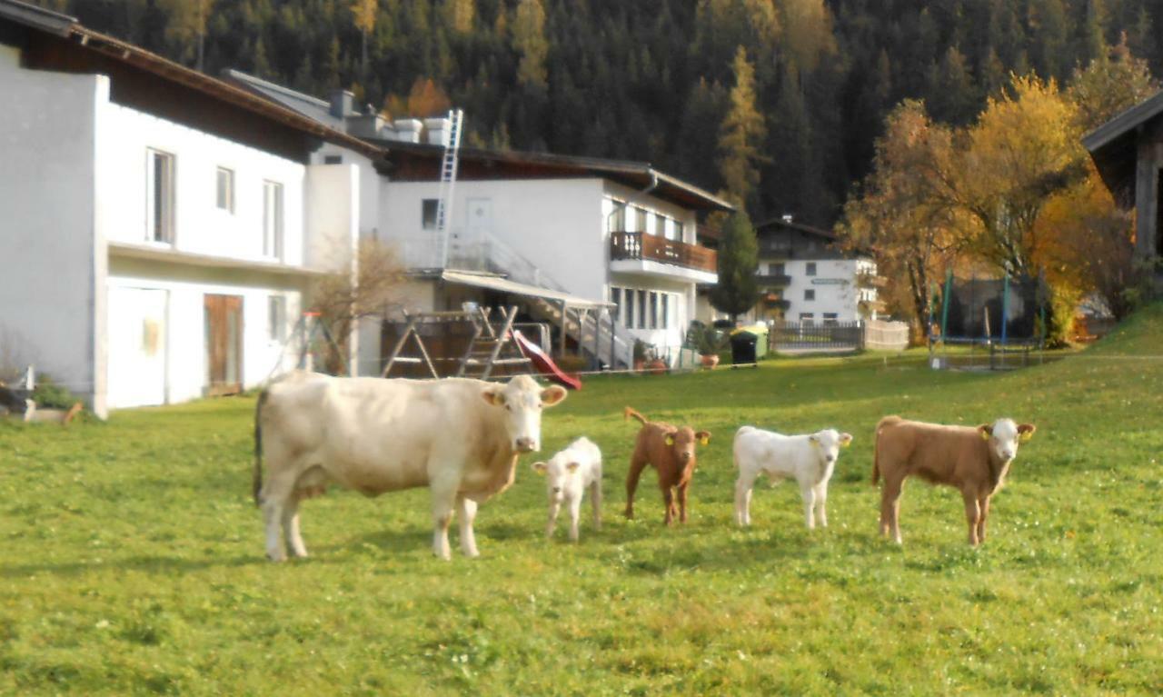 Ferienhaus Dankl Hollersbach im Pinzgau Ngoại thất bức ảnh